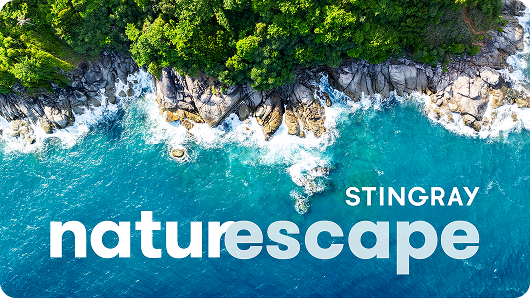 naturescape_thumbnail_546x298